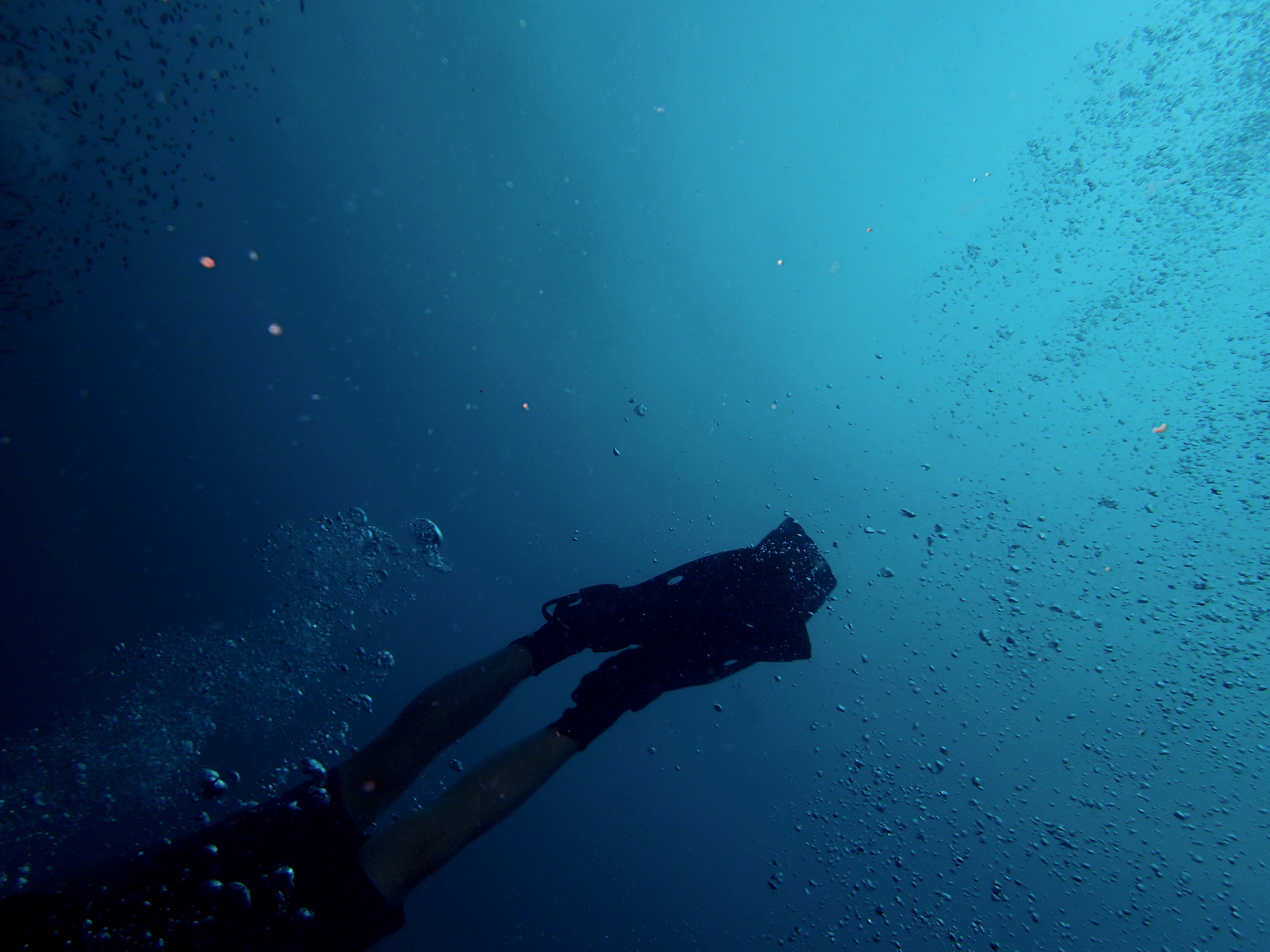 Diver silhouette fins