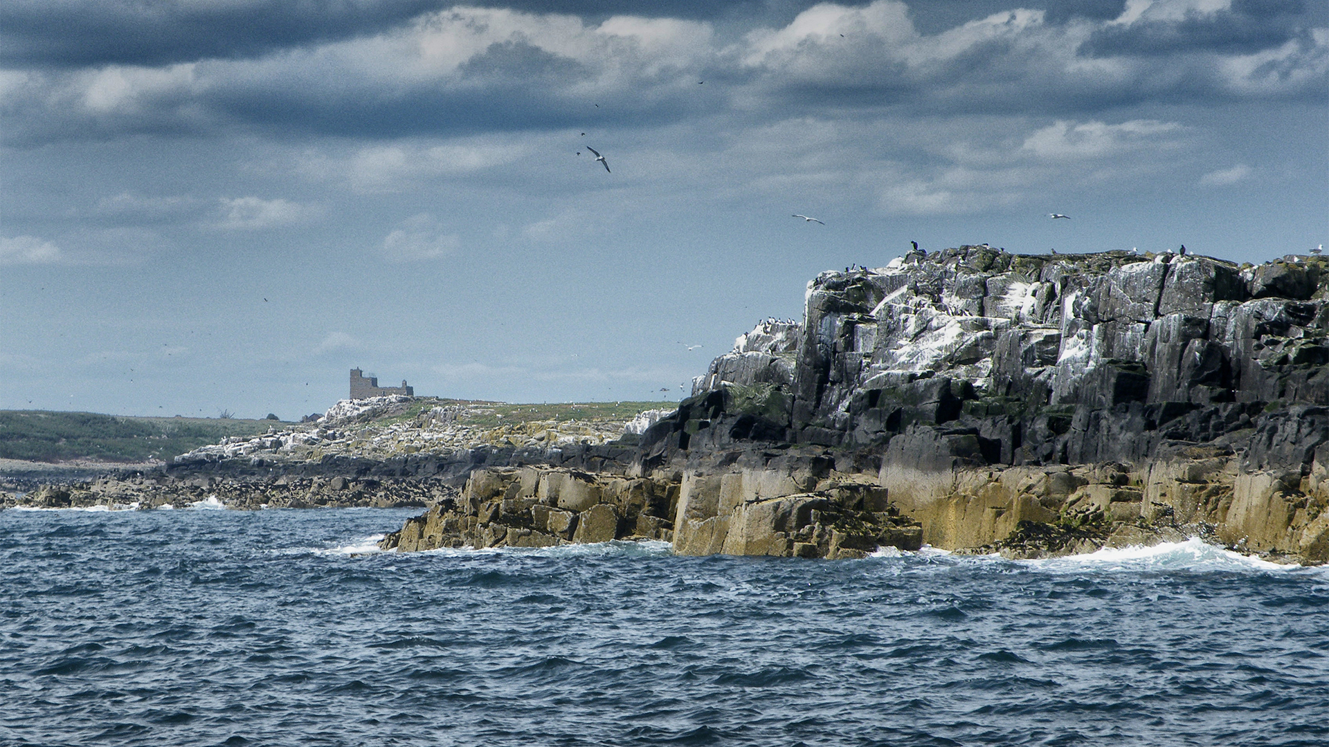 Farne_Islands